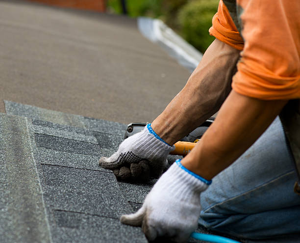 Best Storm Damage Roof Repair  in Havre, MT
